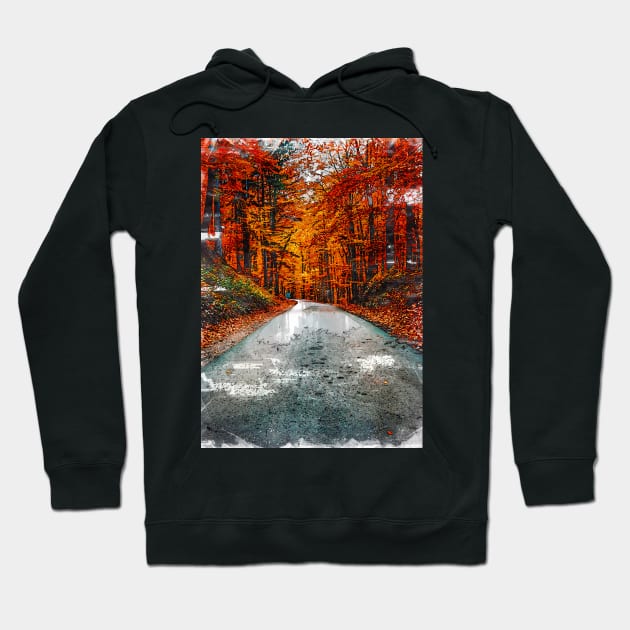 Autumn Vibes In Hungarian Forest Hoodie by ColortrixArt